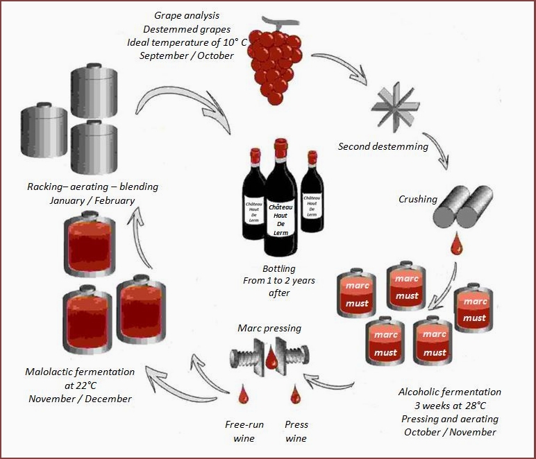 Vinification_red_wines_2